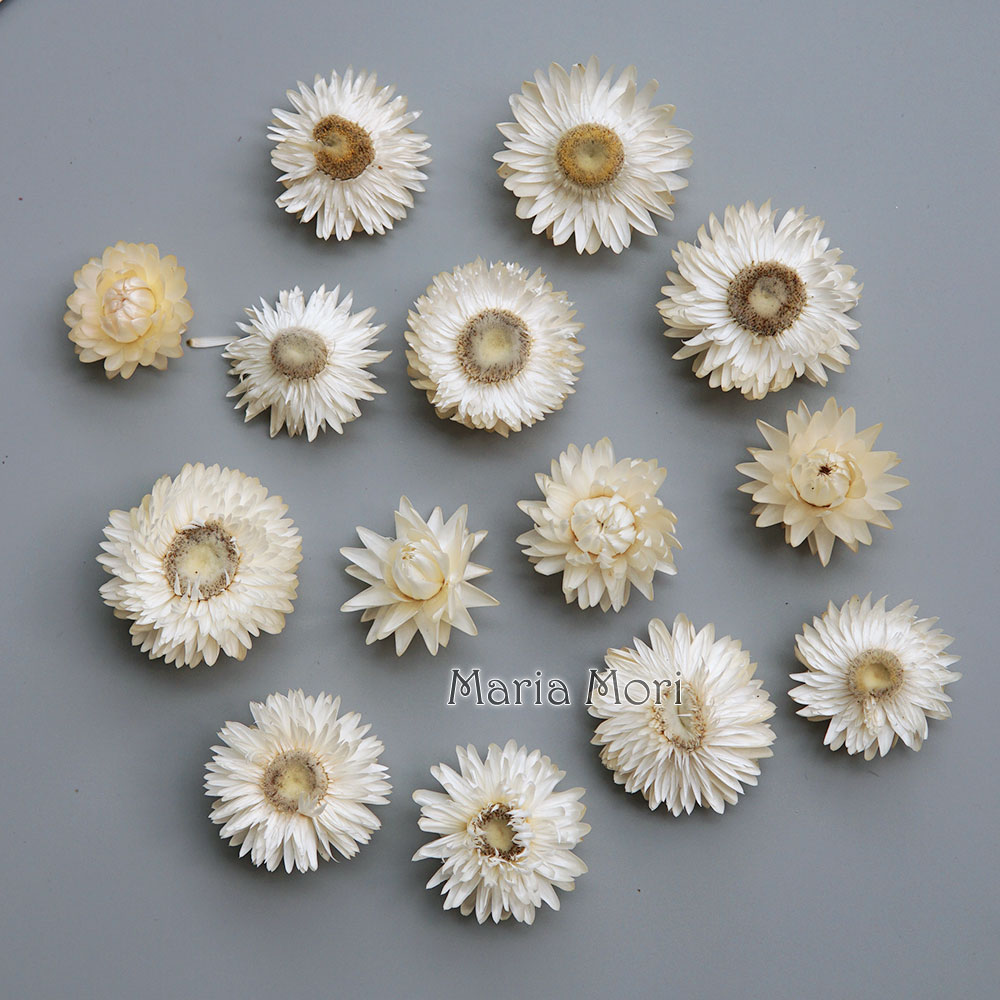 Candle Making Process - Natuurlijke Gedroogde Kleurrijke Chrysanthemum Krans Handgemaakte