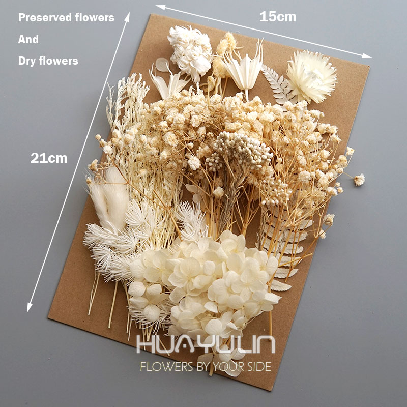 1-pack kunstplanten gedroogde  - Candle Making Process recensie en prijs